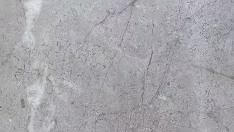 Persian Grey