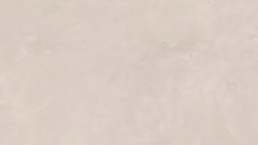 Sio Beige