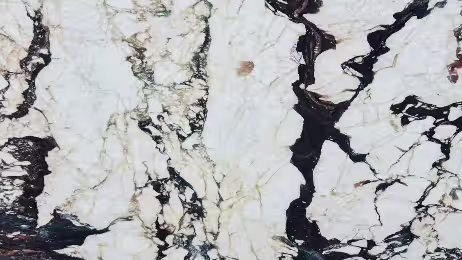 Empress Gold Marble